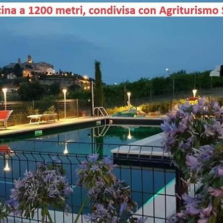 Cossignano Agriturismo Galanti מראה חיצוני תמונה