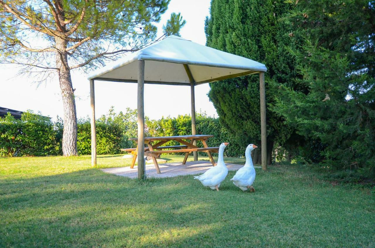 Cossignano Agriturismo Galanti מראה חיצוני תמונה