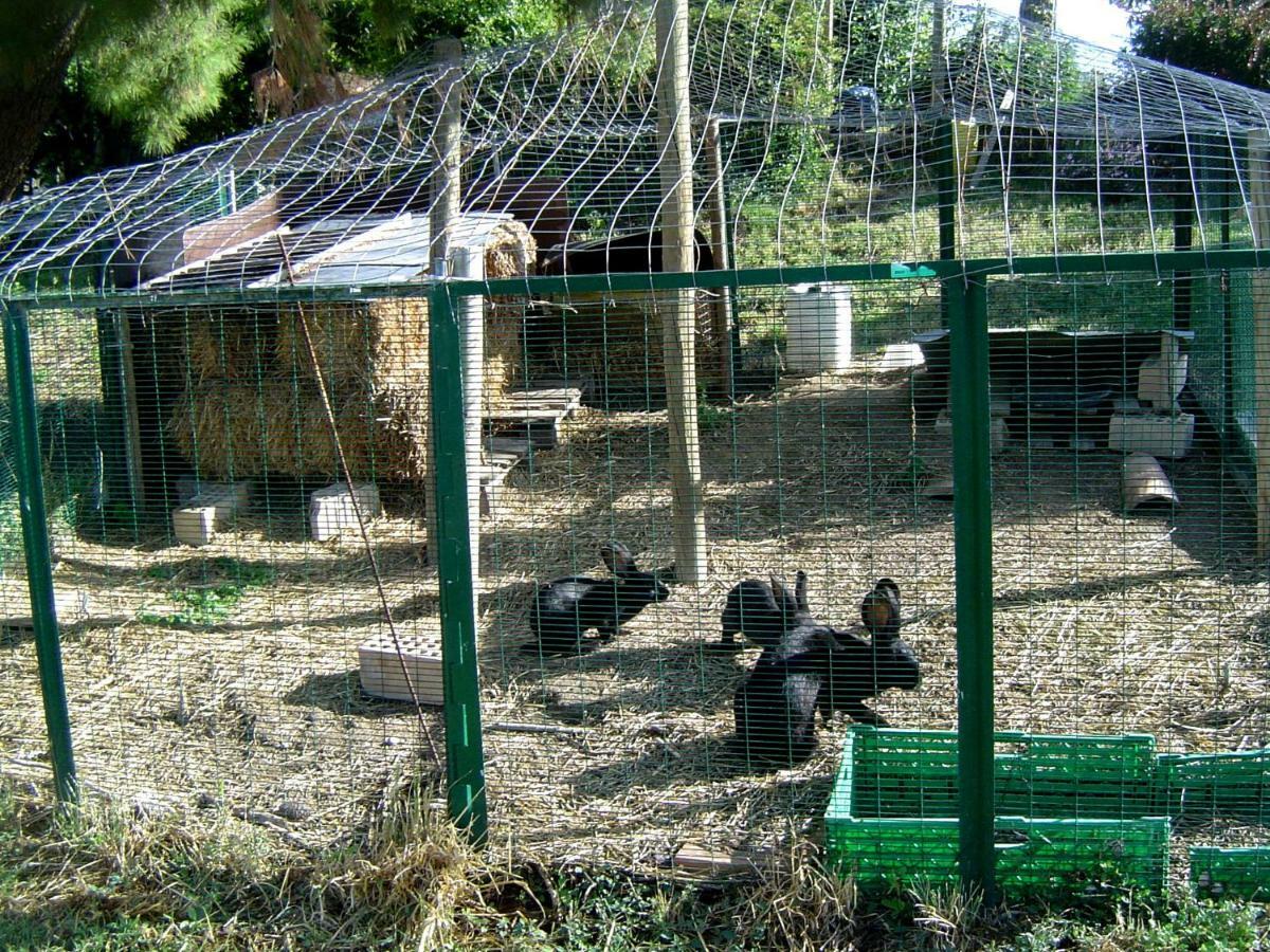 Cossignano Agriturismo Galanti מראה חיצוני תמונה